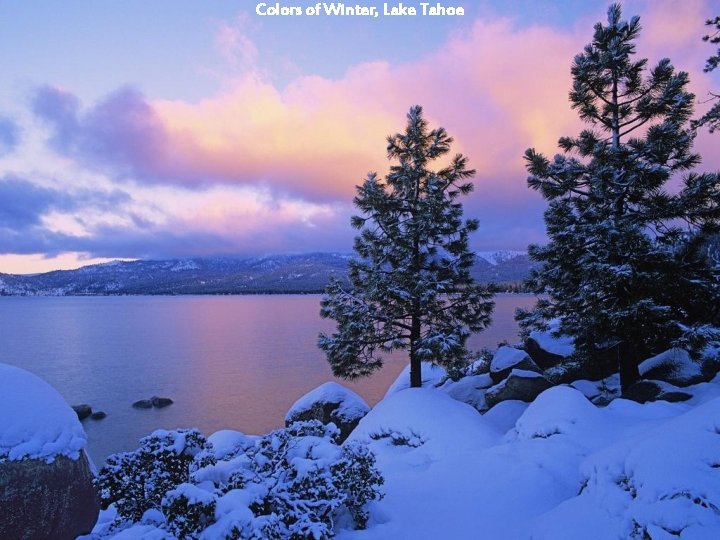 Colors of Winter, Lake Tahoe 
