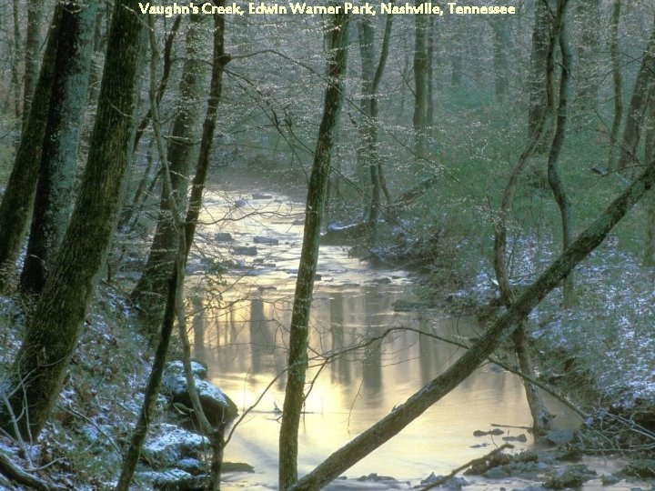 Vaughn's Creek, Edwin Warner Park, Nashville, Tennessee 