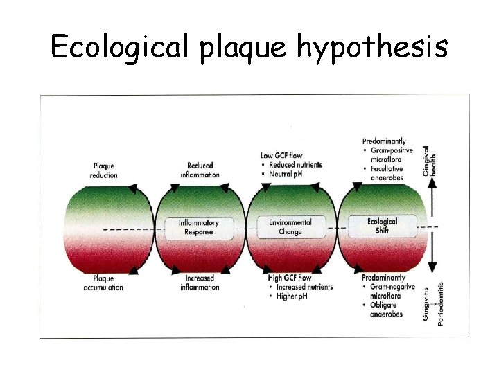 Ecological plaque hypothesis 