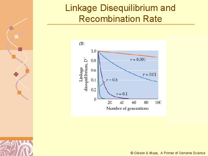 Linkage Disequilibrium and Recombination Rate © Gibson & Muse, A Primer of Genome Science