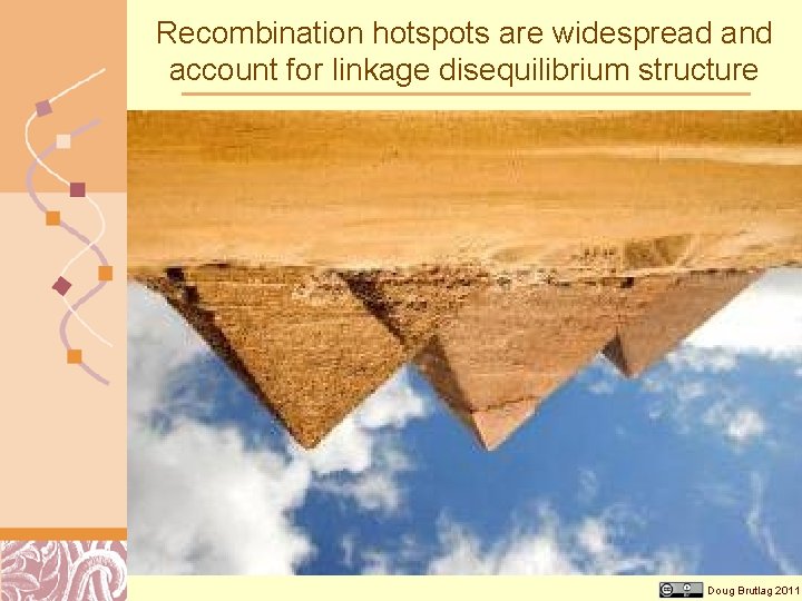 Recombination hotspots are widespread and account for linkage disequilibrium structure Doug Brutlag 2011 
