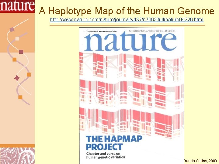 A Haplotype Map of the Human Genome http: //www. nature. com/nature/journal/v 437/n 7063/full/nature 04226.