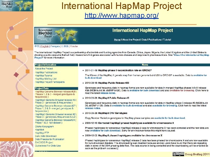 International Hap. Map Project http: //www. hapmap. org/ Doug Brutlag 2011 
