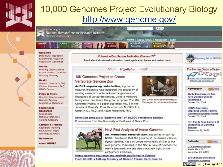 10, 000 Genomes Project Evolutionary Biology http: //www. genome. gov/ Doug Brutlag 2011 