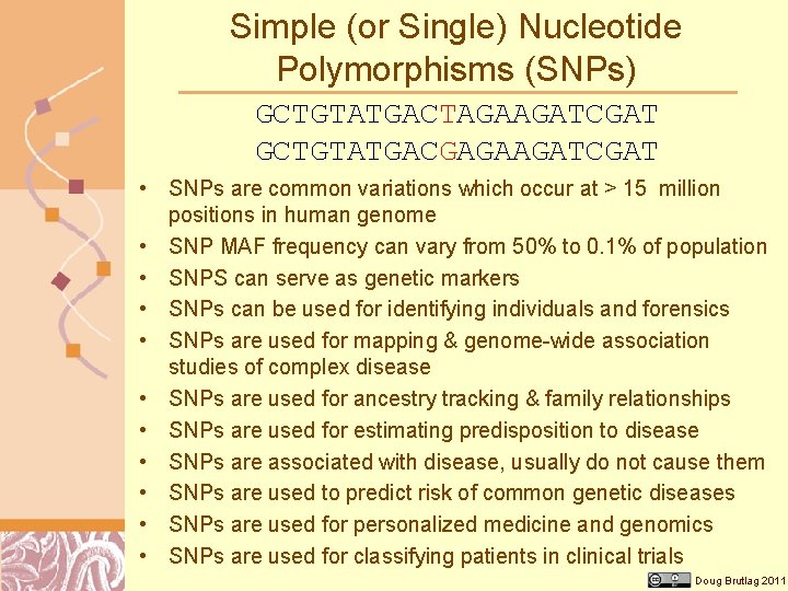 Simple (or Single) Nucleotide Polymorphisms (SNPs) GCTGTATGACTAGAAGATCGAT GCTGTATGACGAGAAGATCGAT • SNPs are common variations which