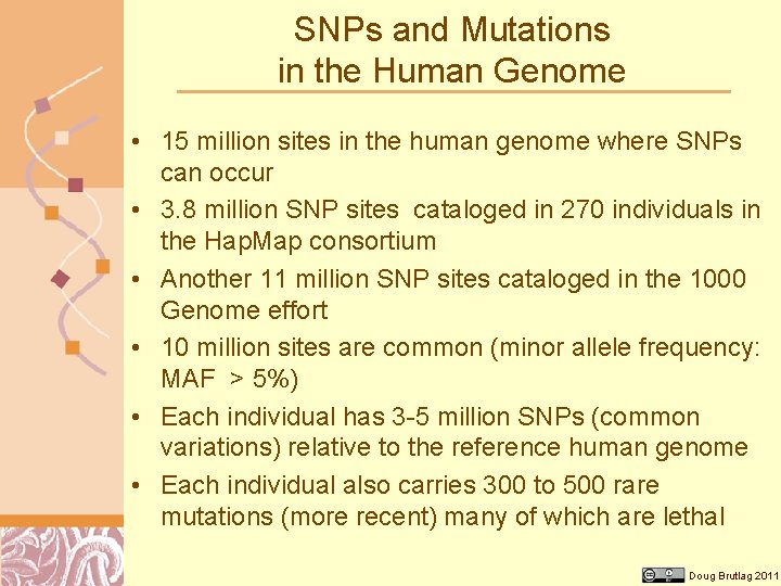 SNPs and Mutations in the Human Genome • 15 million sites in the human