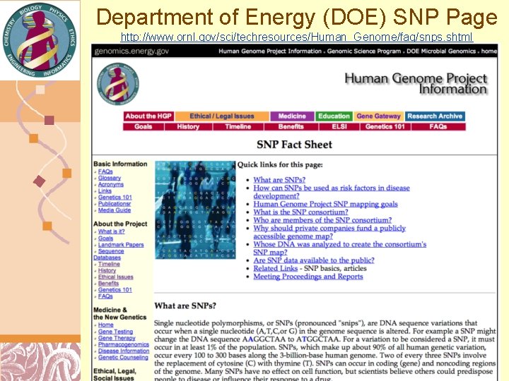 Department of Energy (DOE) SNP Page http: //www. ornl. gov/sci/techresources/Human_Genome/faq/snps. shtml Doug Brutlag 2011