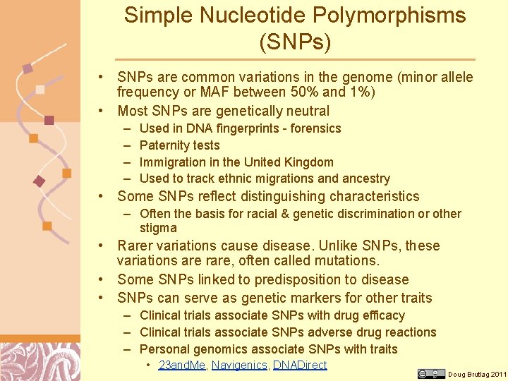 Simple Nucleotide Polymorphisms (SNPs) • SNPs are common variations in the genome (minor allele