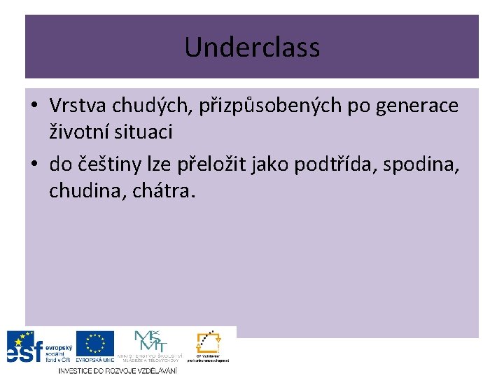 Underclass • Vrstva chudých, přizpůsobených po generace životní situaci • do češtiny lze přeložit