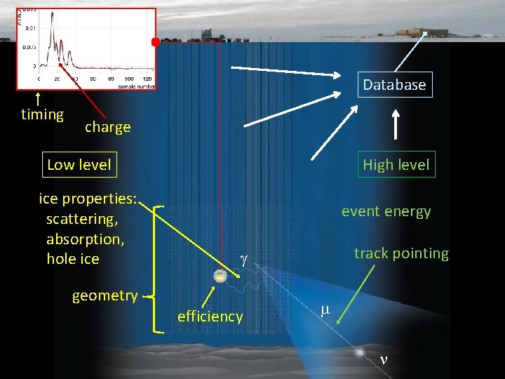 Database timing charge High level Low level ice properties: scattering, absorption, hole ice event