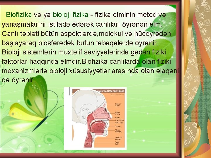 Biofizika və ya bioloji fizika - fizika elminin metod və yanaşmalarını istifadə edərək canlıları