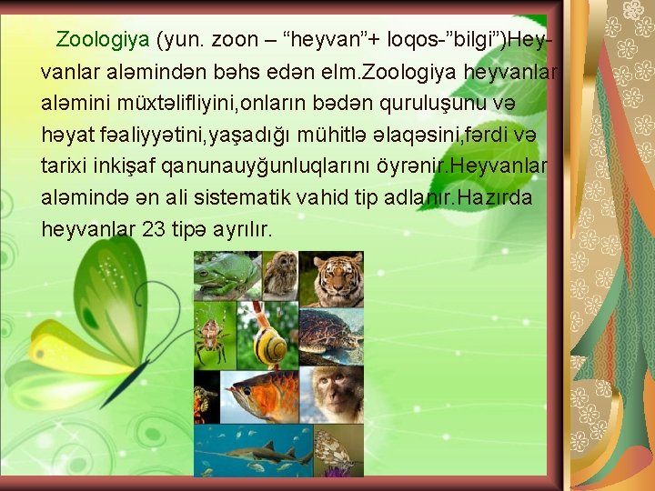 Zoologiya (yun. zoon – “heyvan”+ loqos-”bilgi”)Heyvanlar aləmindən bəhs edən elm. Zoologiya heyvanlar aləmini müxtəlifliyini,