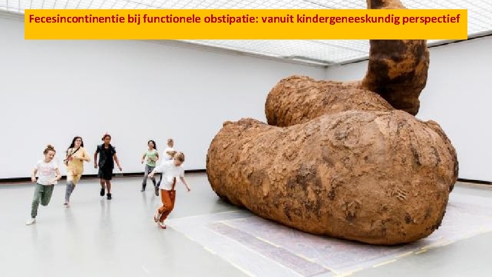 Fecesincontinentie bij functionele obstipatie: vanuit kindergeneeskundig perspectief Pagina 2 