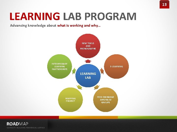 13 LEARNING LAB PROGRAM Advancing knowledge about what is working and why… NEW TOOLS