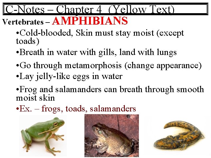 C-Notes – Chapter 4 (Yellow Text) Vertebrates – AMPHIBIANS • Cold-blooded, Skin must stay