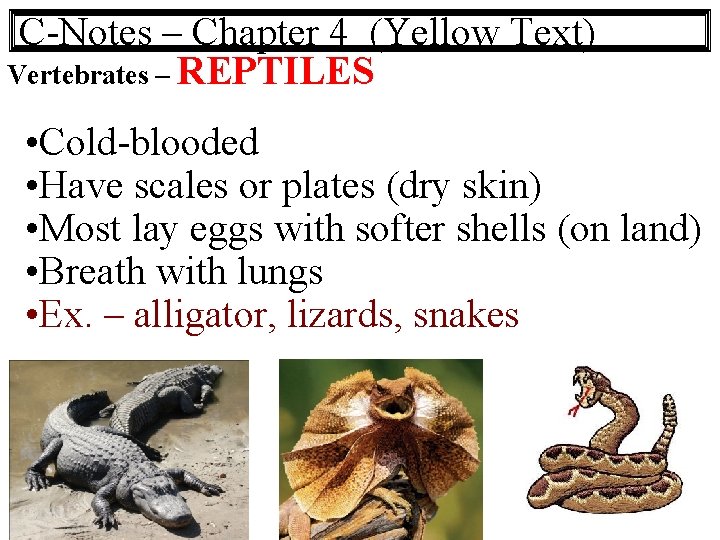 C-Notes – Chapter 4 (Yellow Text) Vertebrates – REPTILES • Cold-blooded • Have scales