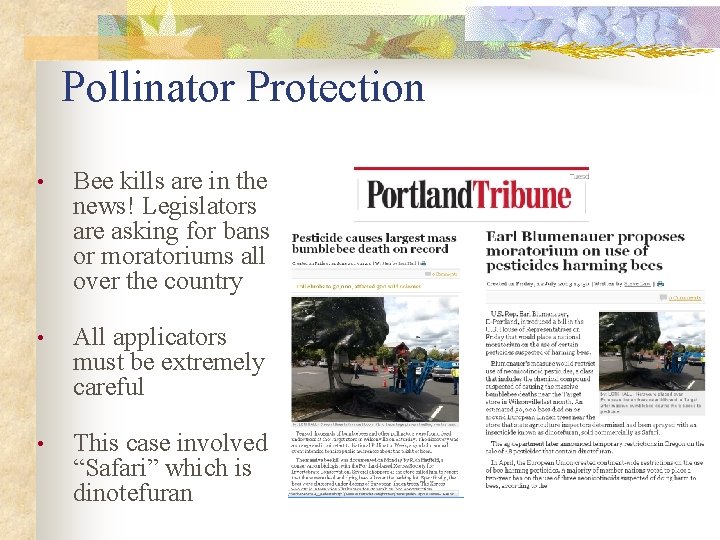 Pollinator Protection • Bee kills are in the news! Legislators are asking for bans