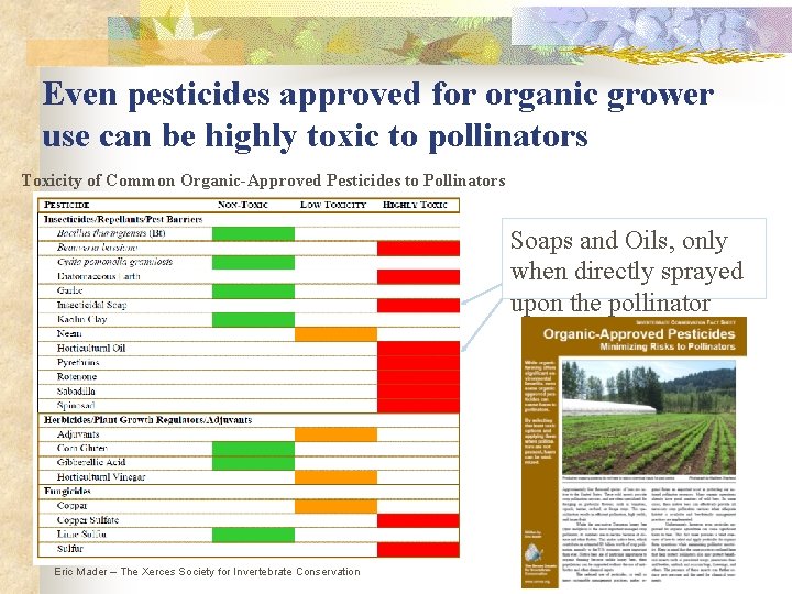 Even pesticides approved for organic grower use can be highly toxic to pollinators Toxicity