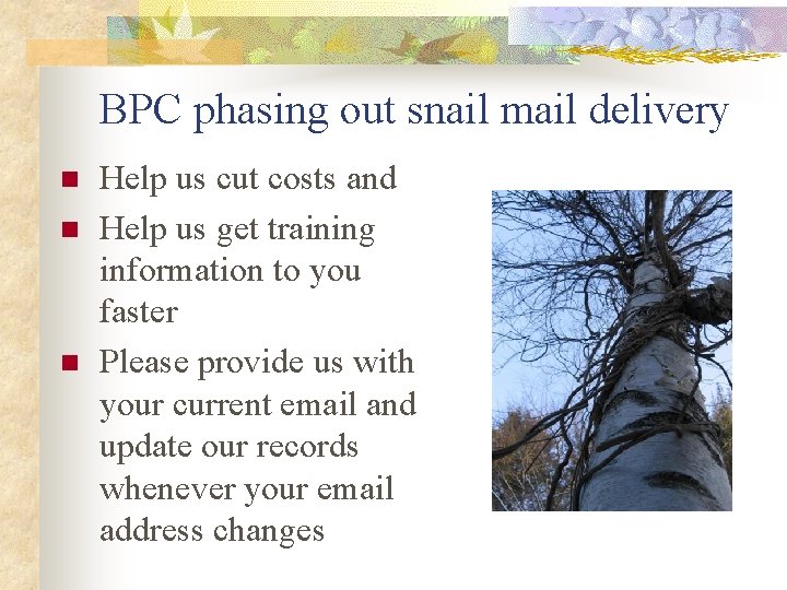 BPC phasing out snail mail delivery n n n Help us cut costs and