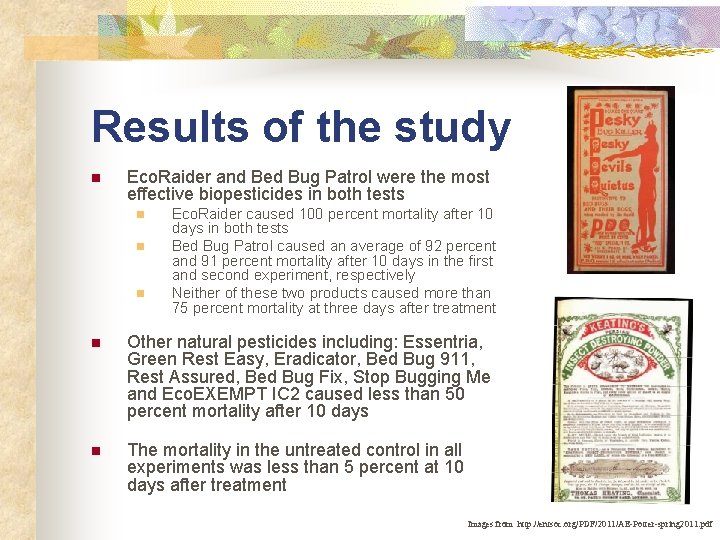 Results of the study n Eco. Raider and Bed Bug Patrol were the most