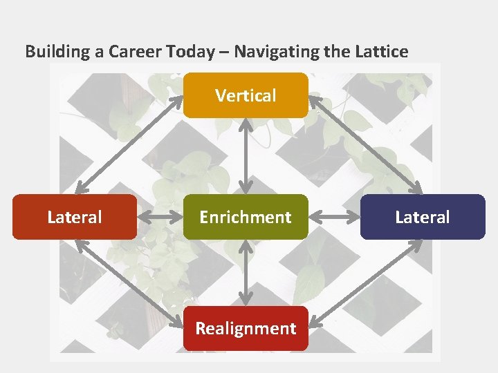 Building a Career Today – Navigating the Lattice Vertical Lateral Enrichment Realignment Lateral 