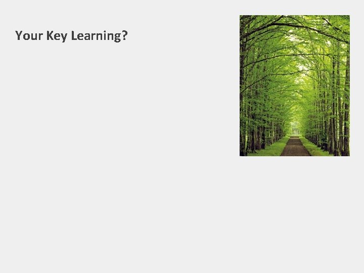 Your Key Learning? 