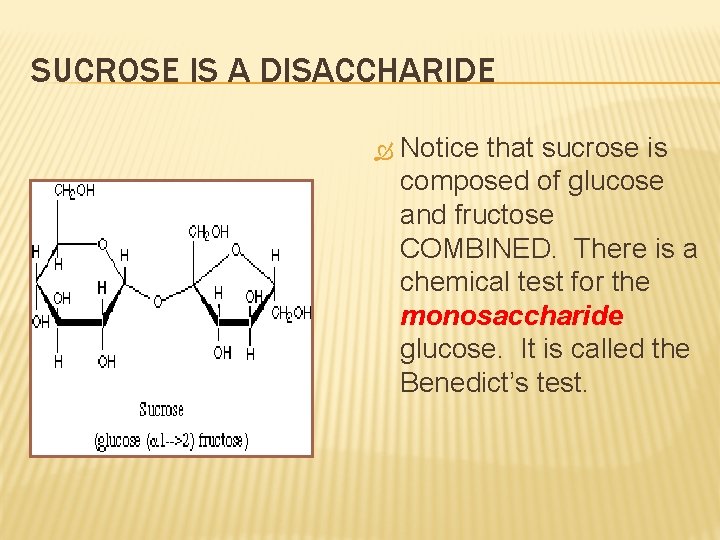 SUCROSE IS A DISACCHARIDE Notice that sucrose is composed of glucose and fructose COMBINED.