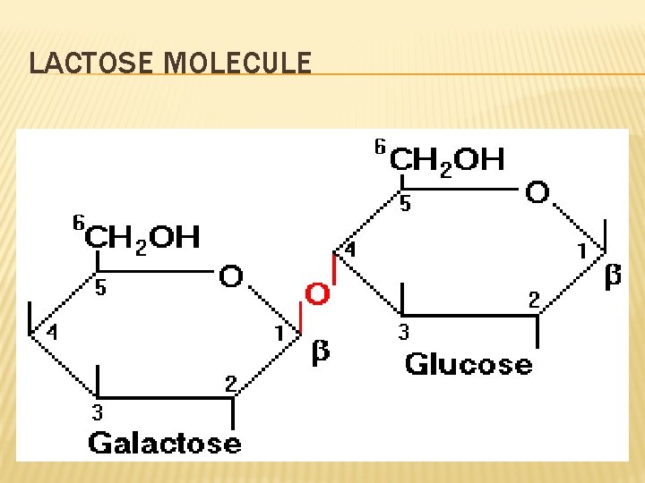 LACTOSE MOLECULE 