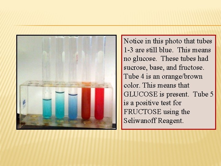 Notice in this photo that tubes 1 -3 are still blue. This means no