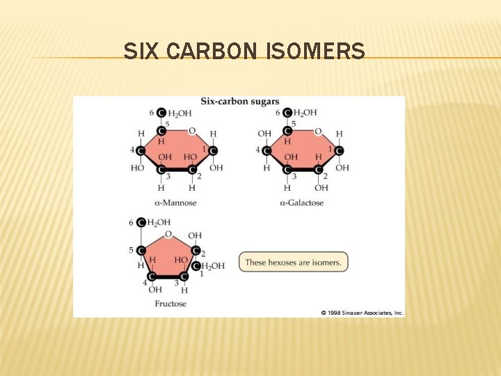 SIX CARBON ISOMERS 