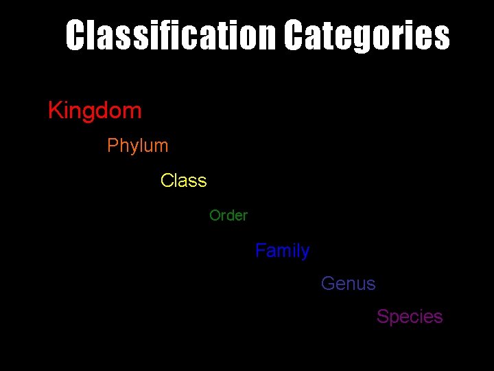 Classification Categories Kingdom Phylum Class Order Family Genus Species 