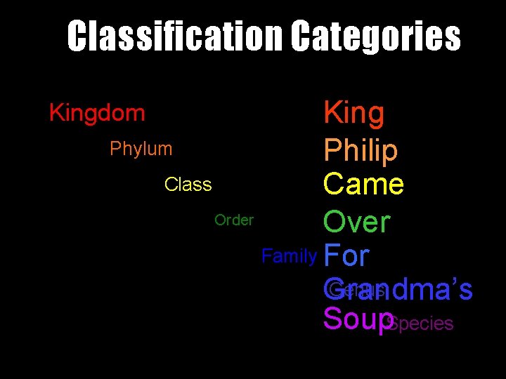 Classification Categories King Phylum Philip Class Came Order Over Family For Genus Grandma’s Soup.