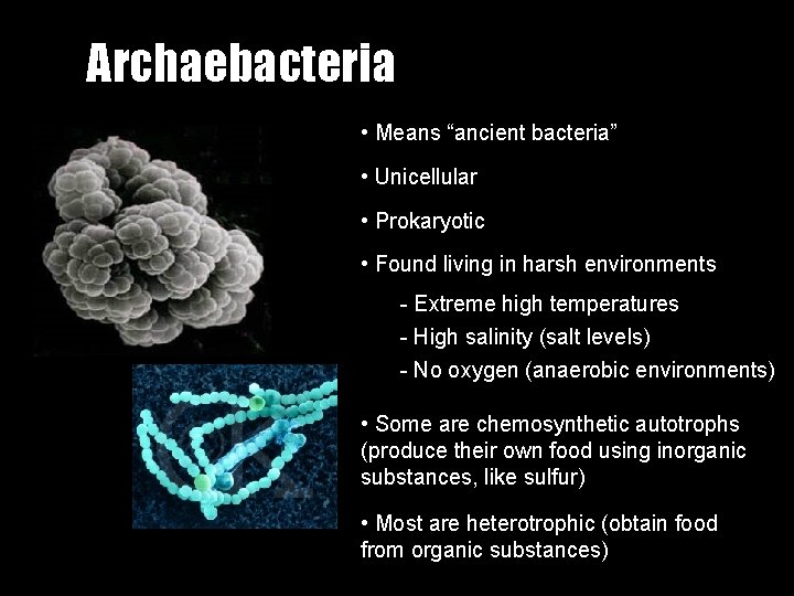 Archaebacteria • Means “ancient bacteria” • Unicellular • Prokaryotic • Found living in harsh
