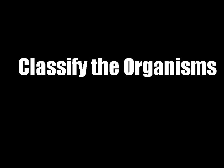 Classify the Organisms 