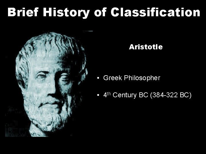 Brief History of Classification Aristotle • Greek Philosopher • 4 th Century BC (384