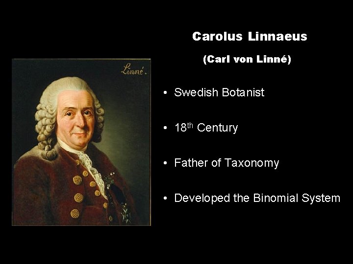Carolus Linnaeus (Carl von Linné) • Swedish Botanist • 18 th Century • Father