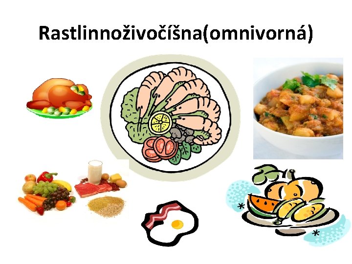 Rastlinnoživočíšna(omnivorná) 