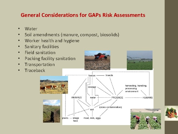 General Considerations for GAPs Risk Assessments • • Water Soil amendments (manure, compost, biosolids)