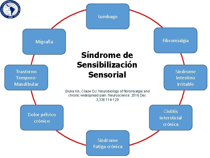 Lumbago Fibromialgia Migraña Trastorno Temporo. Mandibular Síndrome de Sensibilización Dolor Crónico Sensorial Síndrome Intestino