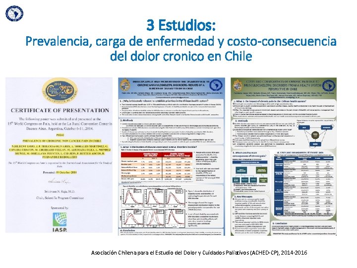 3 Estudios: Prevalencia, carga de enfermedad y costo-consecuencia del dolor cronico en Chile Asociación