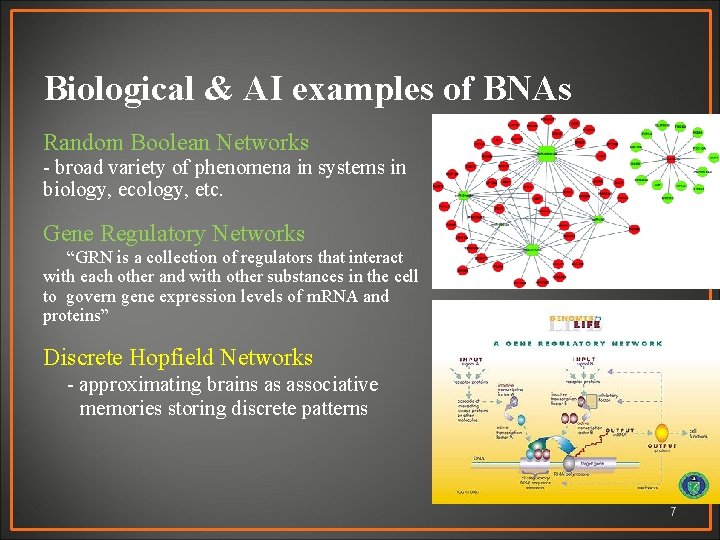 Biological & AI examples of BNAs Random Boolean Networks - broad variety of phenomena
