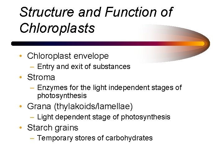 Structure and Function of Chloroplasts • Chloroplast envelope – Entry and exit of substances