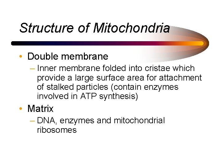 Structure of Mitochondria • Double membrane – Inner membrane folded into cristae which provide