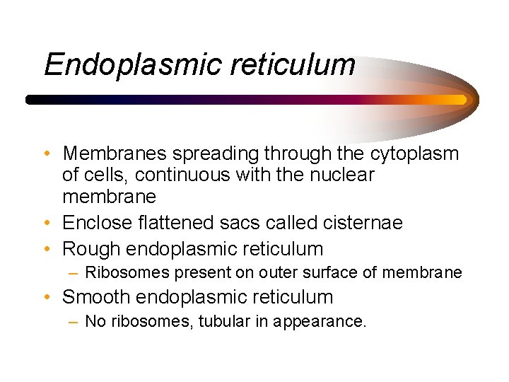 Endoplasmic reticulum • Membranes spreading through the cytoplasm of cells, continuous with the nuclear