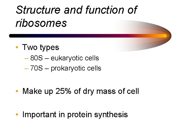 Structure and function of ribosomes • Two types – 80 S – eukaryotic cells
