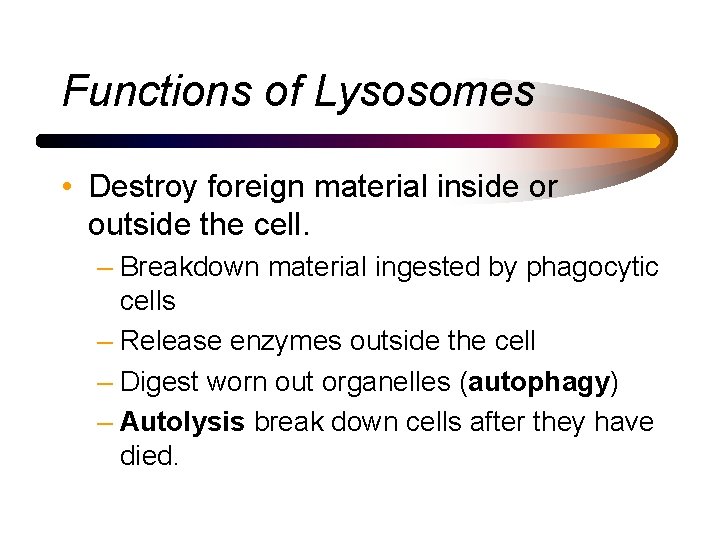 Functions of Lysosomes • Destroy foreign material inside or outside the cell. – Breakdown