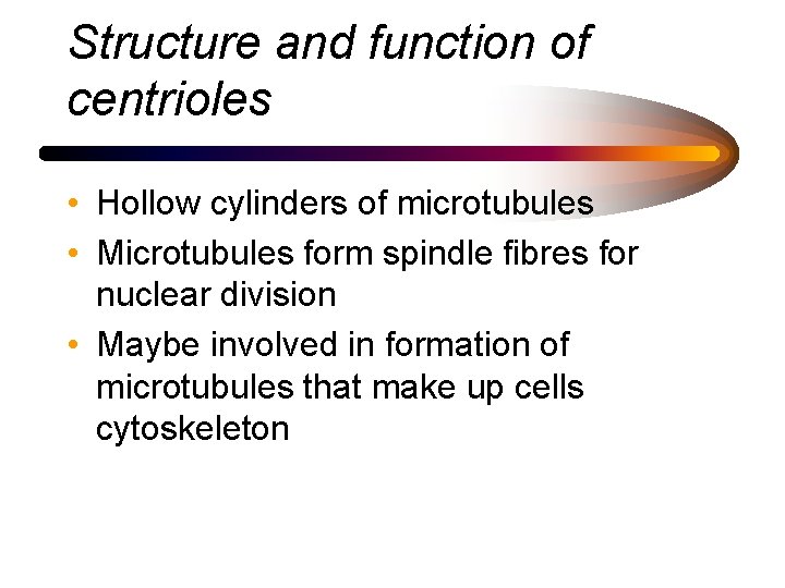 Structure and function of centrioles • Hollow cylinders of microtubules • Microtubules form spindle