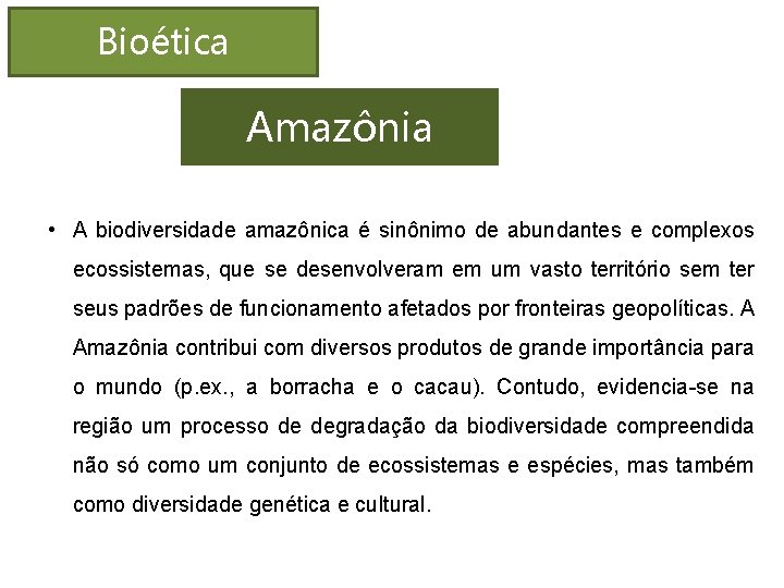 Bioética Amazônia • A biodiversidade amazônica é sinônimo de abundantes e complexos ecossistemas, que