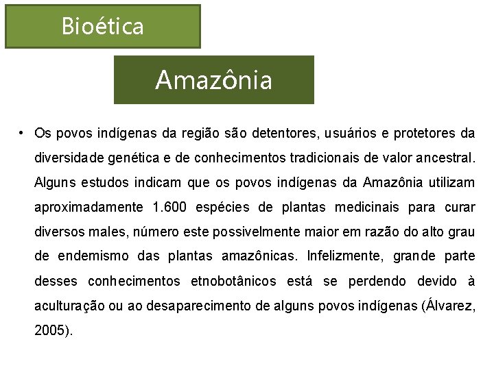 Bioética Amazônia • Os povos indígenas da região são detentores, usuários e protetores da