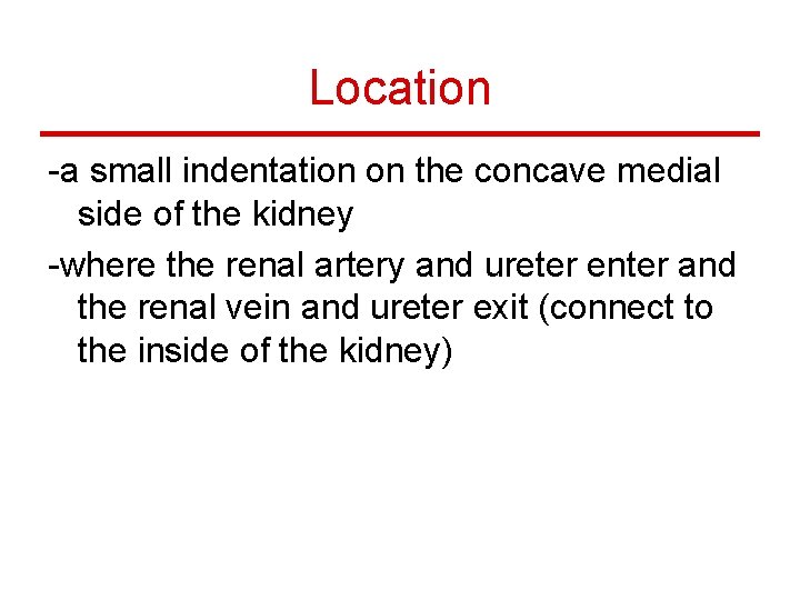 Location -a small indentation on the concave medial side of the kidney -where the